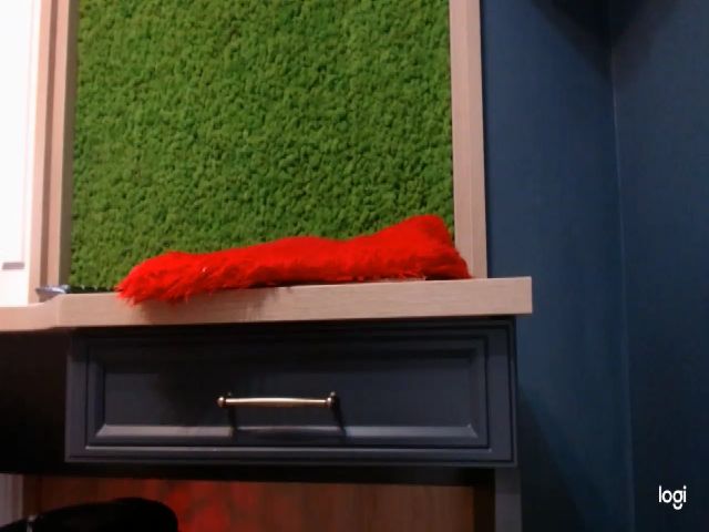 Live sex webcam photo for OXXXY #253330715