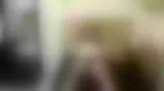 Live sex webcam photo for katty_167x #242430439