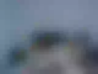 Live sex webcam photo for mjandlincoln #240620665