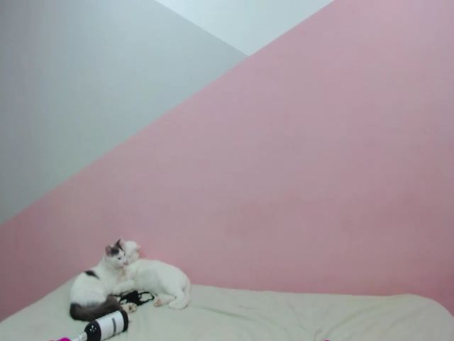 Live sex webcam photo for Sarajoness_ #256591759