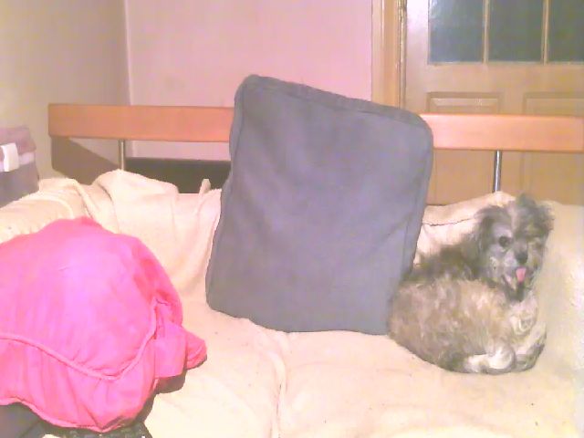 Live sex webcam photo for Lili_Mari69 #256541027