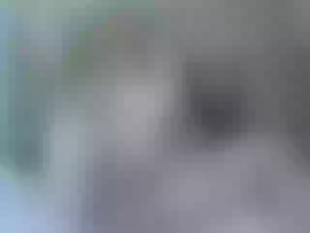 Live sex webcam photo for Mssburbuja #255590375