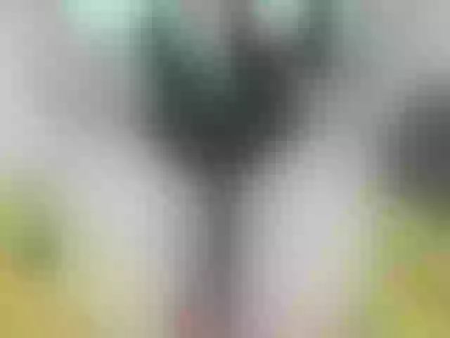 Live sex webcam photo for AletaOcean #263123785