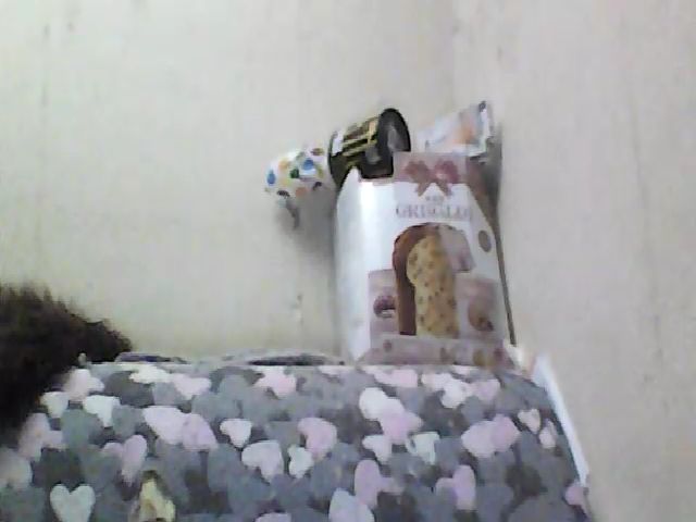 Live sex webcam photo for GuiltyKitty #265540456