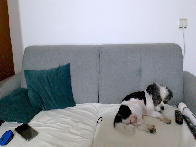 Live sex webcam photo for Stephycute #258774314