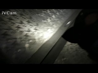 Live sex webcam photo for sweety-kiti #240583053