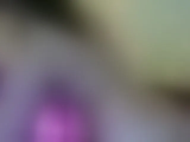 Live sex webcam photo for SofiAmeli #253536603