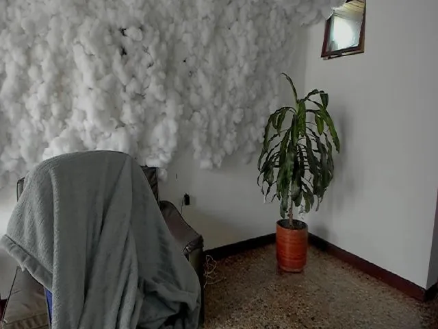 Live sex webcam photo for Sexnherbs #264324766