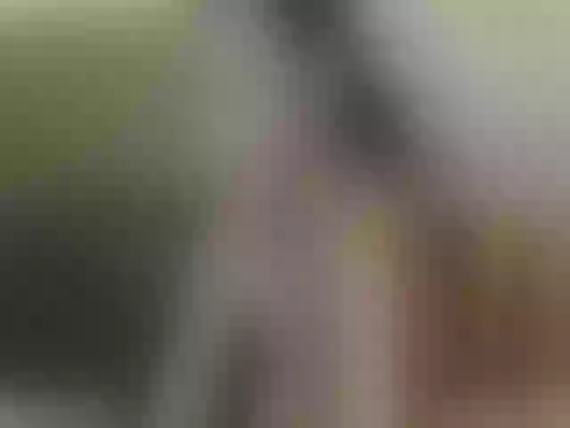Live sex webcam photo for SkyV_ #254488873