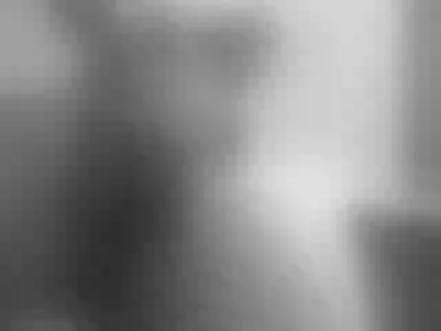 Live sex webcam photo for girasol-walto #241226193