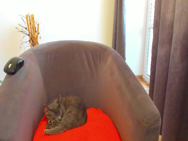 Live sex webcam photo for Roses_dream #264990244