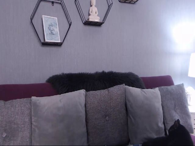 Live sex webcam photo for AuroraXSky #256877135