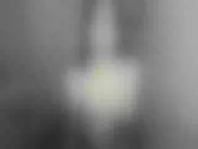 Live sex webcam photo for AyaJanae #264136762