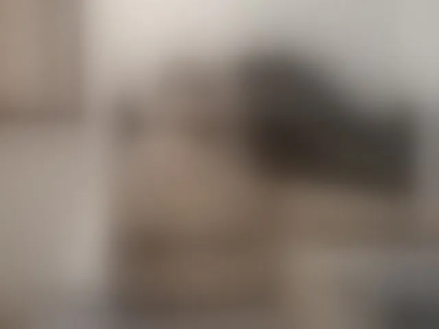 Live sex webcam photo for jandylovee #254349381