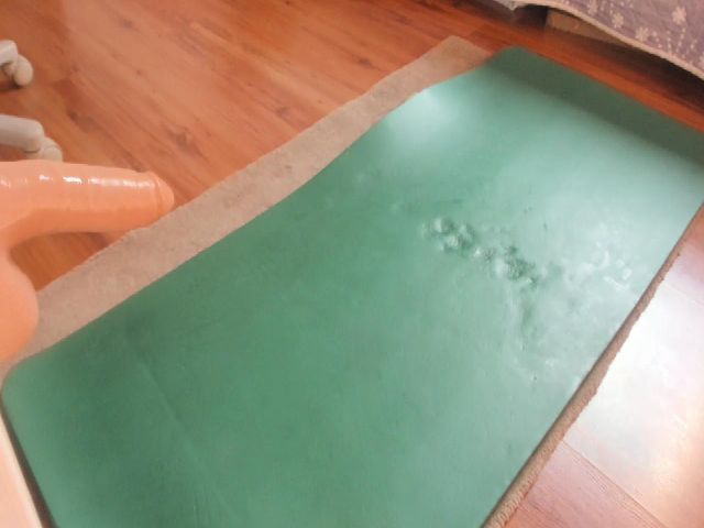 Live sex webcam photo for OhMyMiaa #256724288