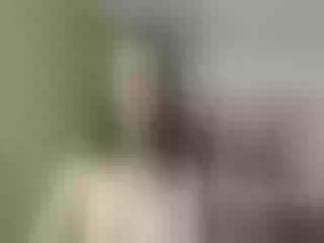 Live sex webcam photo for Evelynevi #253275920