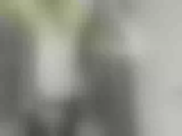 Live sex webcam photo for ego777me #287981595