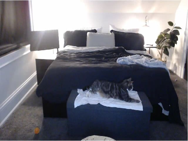 Live sex webcam photo for GoddessScarx #254001879