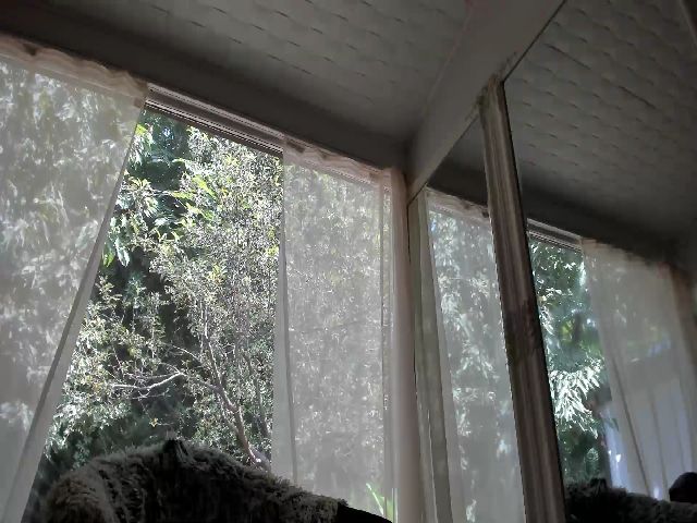 Live sex webcam photo for PerfectAle #259237092