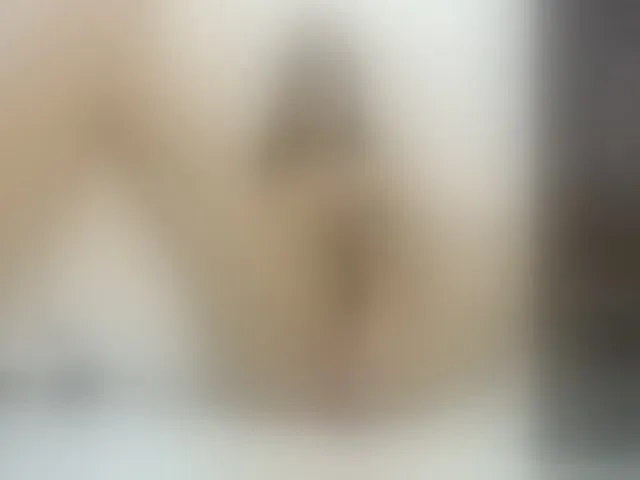 Live sex webcam photo for Msstrixxie #255696880