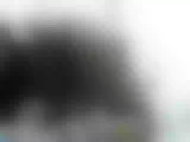 Live sex webcam photo for Rosalie-hot #241012895