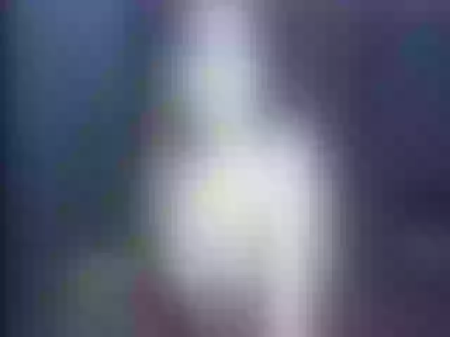 Live sex webcam photo for Ellaquality #252453553
