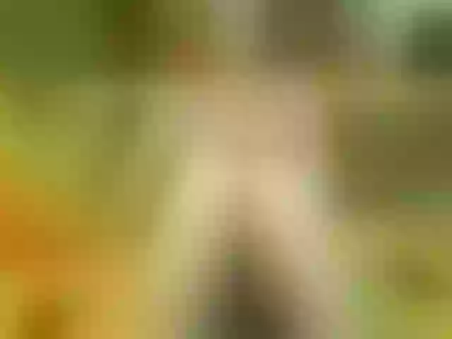 Live sex webcam photo for Luiziana111 #248276339