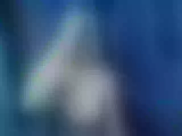 Live sex webcam photo for SellinMe #265494089