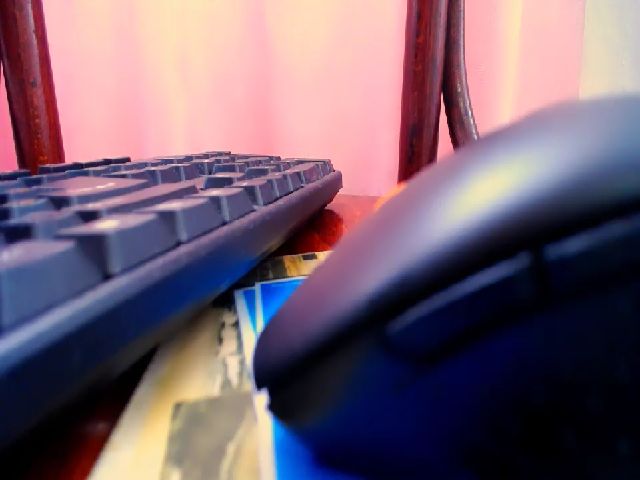 Live sex webcam photo for Lady_Betsy #255304974