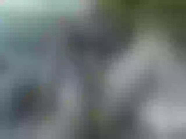 Live sex webcam photo for cozychristine #257728944