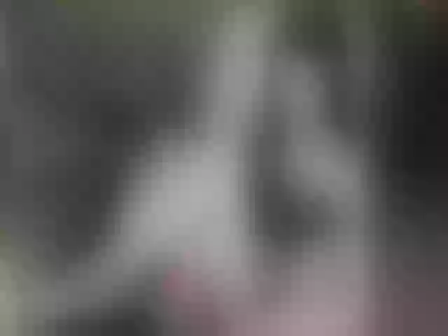 Live sex webcam photo for MonicaSage #257541235