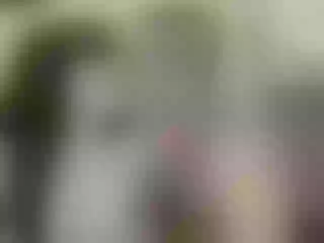 Live sex webcam photo for maksym939 #241399731