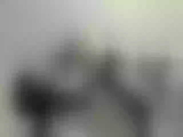 Live sex webcam photo for ego777me #287981618
