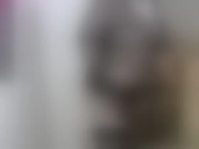 Live sex webcam photo for reis245 #241281876