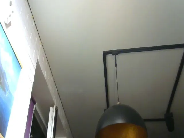 Live sex webcam photo for LyndsyLove #253878458