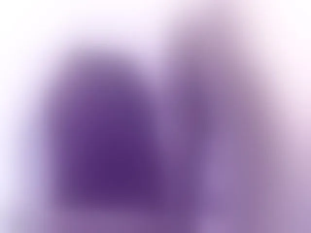 Live sex webcam photo for LionellaRicci #255062271