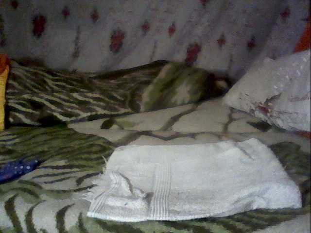 Live sex webcam photo for LanaDeloias #241191878