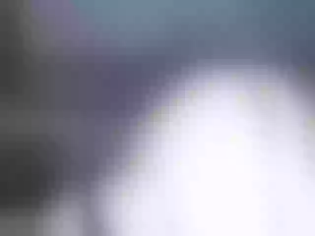 Live sex webcam photo for fox-seks #241207702