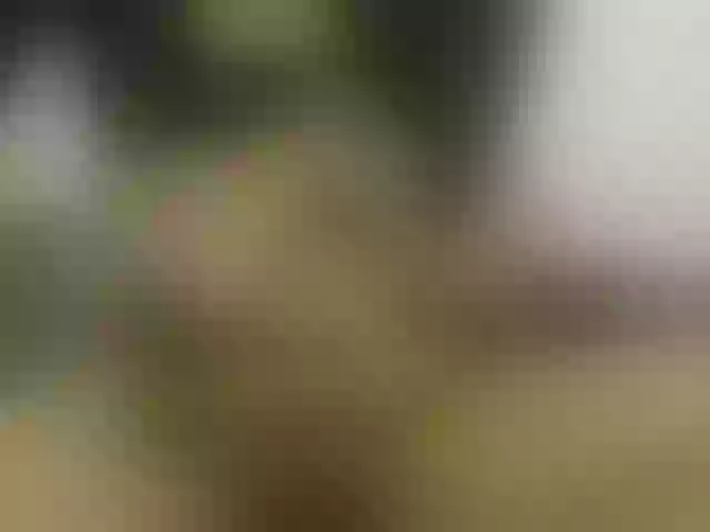 Live sex webcam photo for Sammay- #247829824