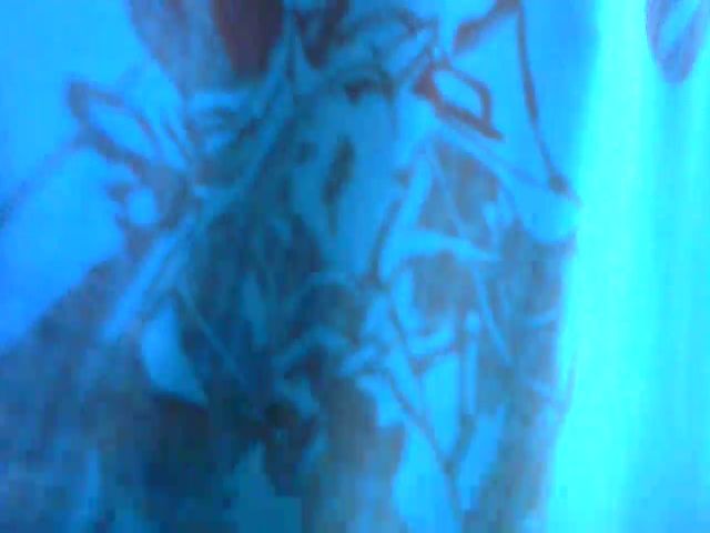 Live sex webcam photo for SONYABRUNETTE #264144200