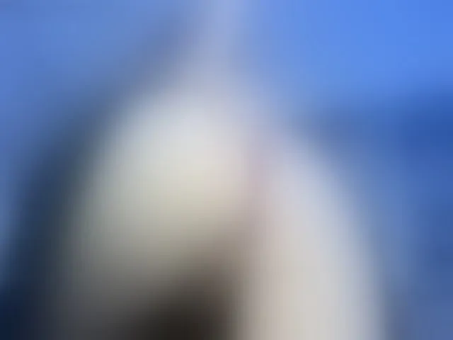 Live sex webcam photo for GoddessHardy #265504844