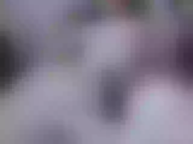 Live sex webcam photo for millagrass #241247635