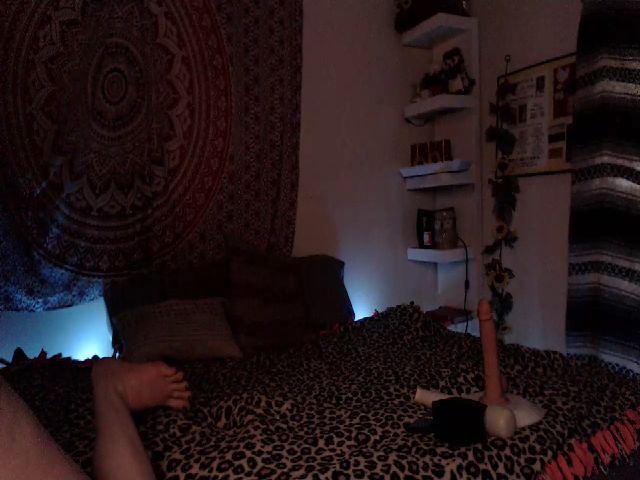 Live sex webcam photo for Missdankkitty #254456564