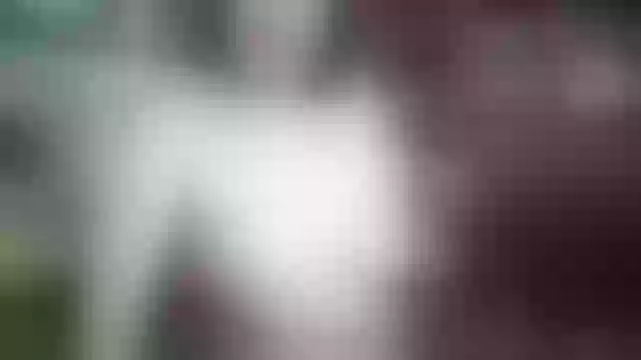 Live sex webcam photo for Elaine_Night #244988638