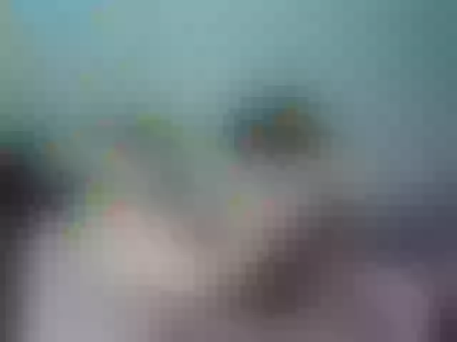 Live sex webcam photo for Sweetydevil95 #241220736