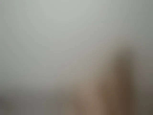 Live sex webcam photo for WildLadyHawke #253069934