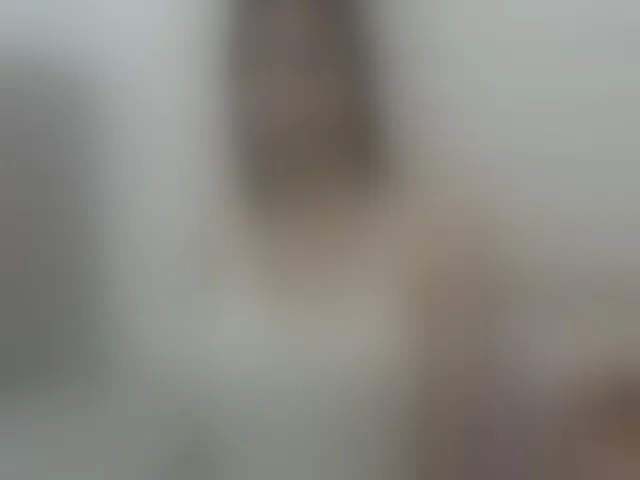 Live sex webcam photo for silvanasweet #241205714