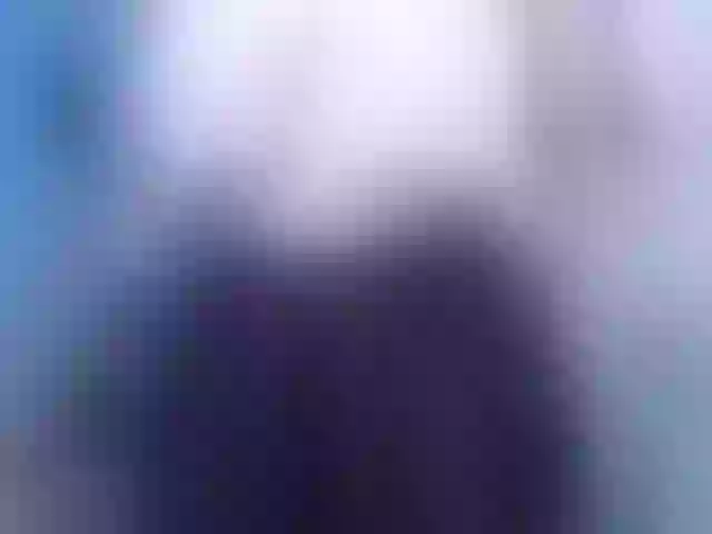 Live sex webcam photo for Evatwiss #253410651