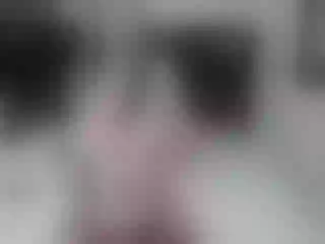 Live sex webcam photo for vick_harris #260096765