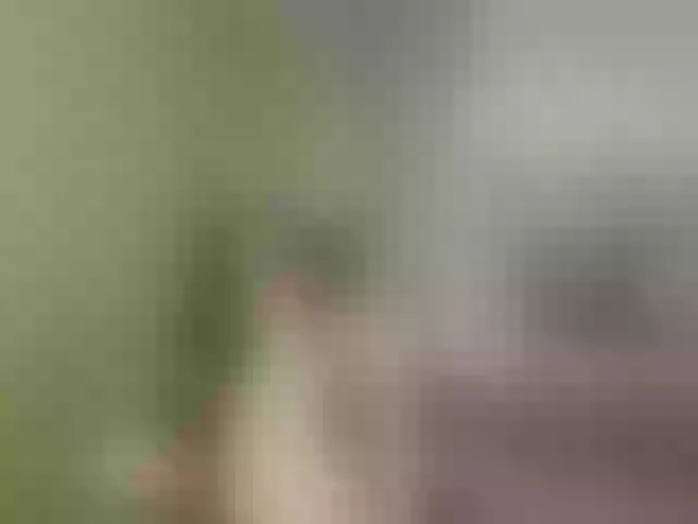 Live sex webcam photo for Evelynevi #254008159
